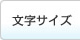 文字サイズ